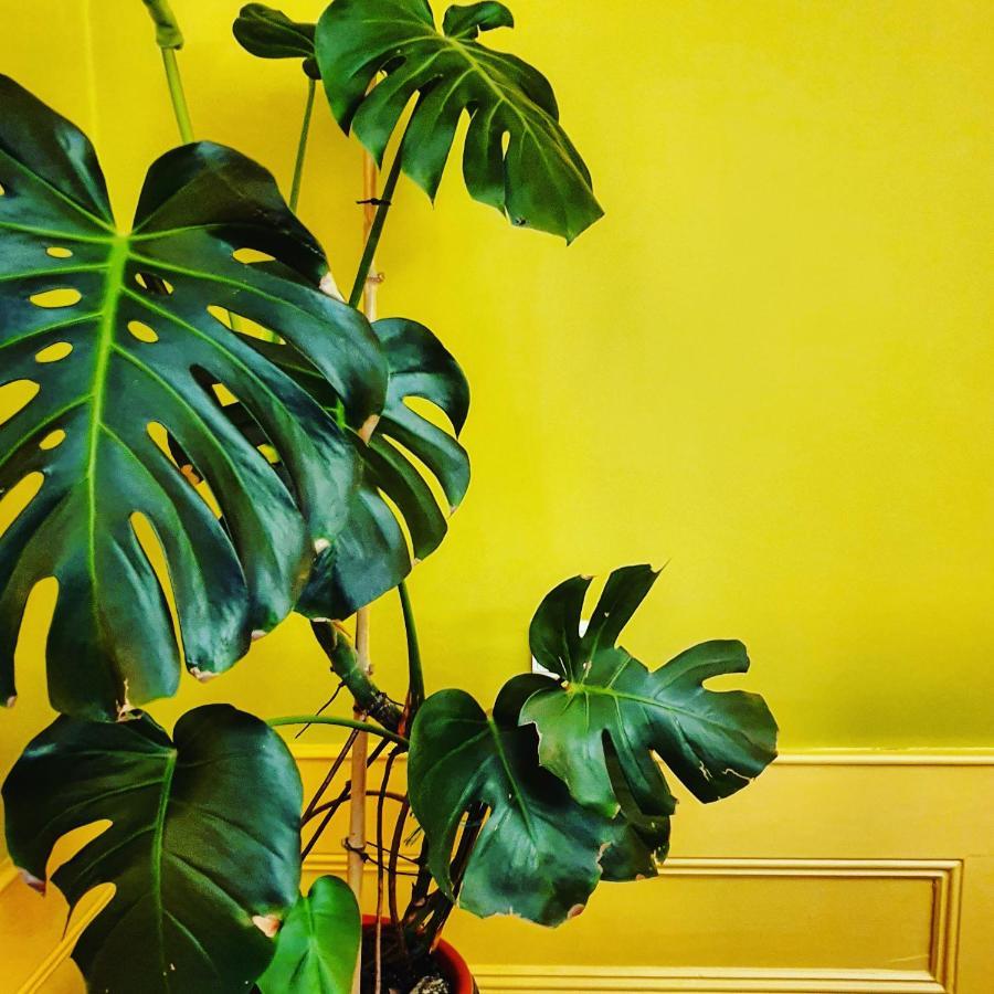 セイア Casa Do Fundo - Sustainable & Ecotourismゲストハウス エクステリア 写真