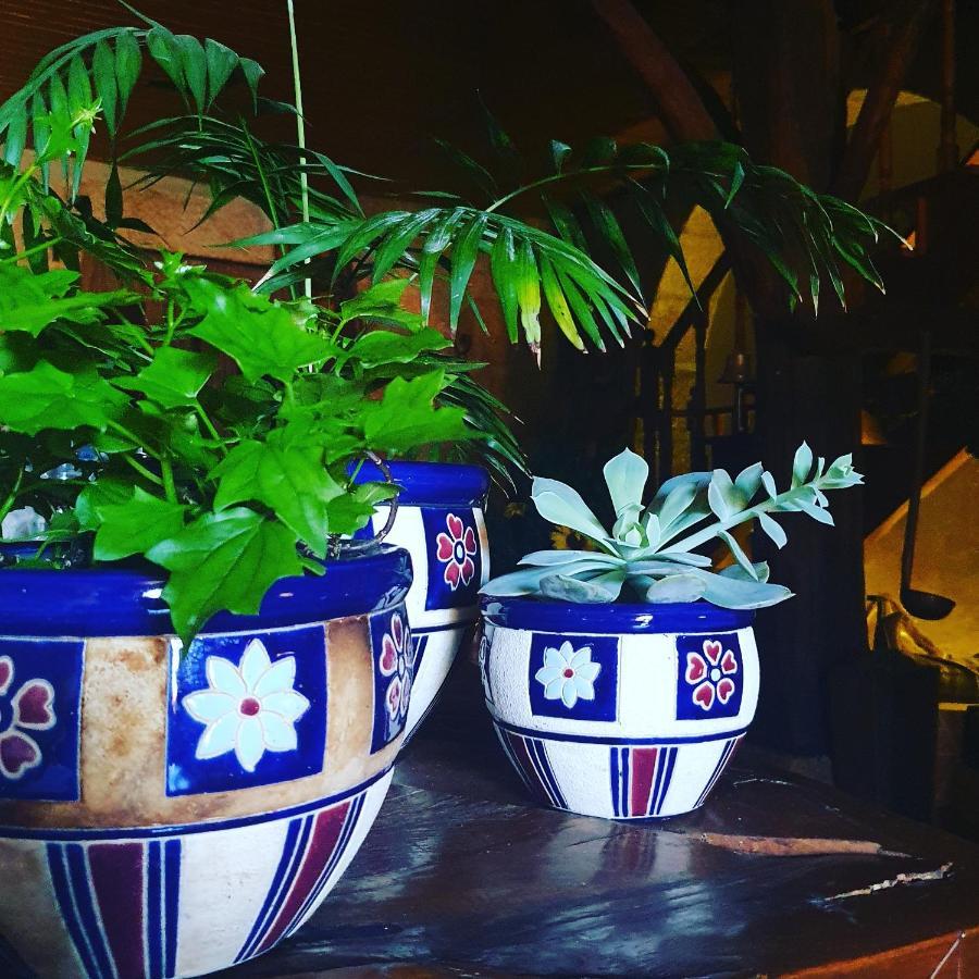 セイア Casa Do Fundo - Sustainable & Ecotourismゲストハウス エクステリア 写真