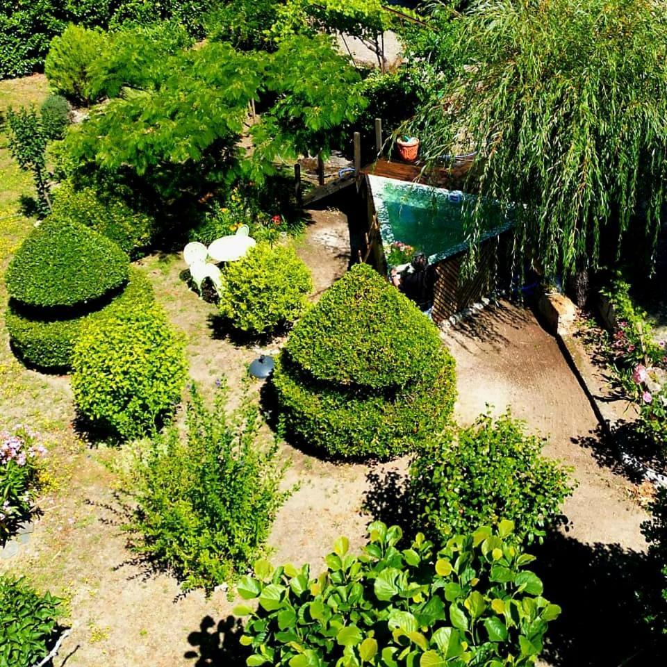 セイア Casa Do Fundo - Sustainable & Ecotourismゲストハウス エクステリア 写真